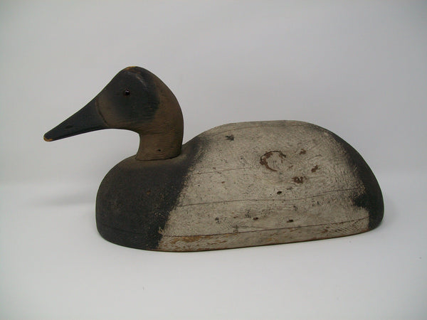 Michigan Canvasback St. Clair Flats, Circa 1930's  (#3327)