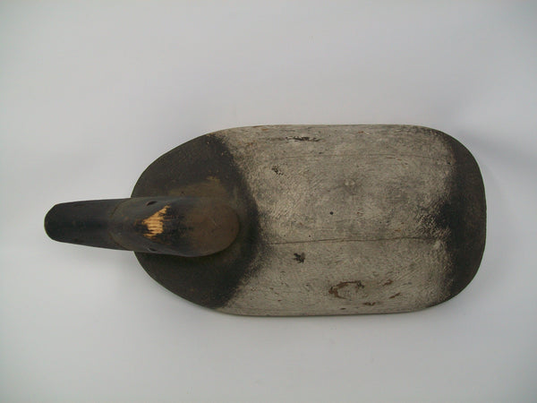 Michigan Canvasback St. Clair Flats, Circa 1930's  (#3327)