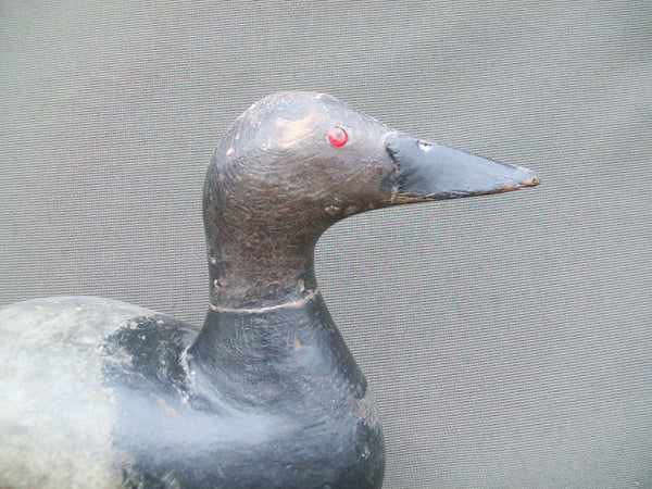 Hollow Canvasback with bottom board - Midwest - Circa 1930's.  (#332)