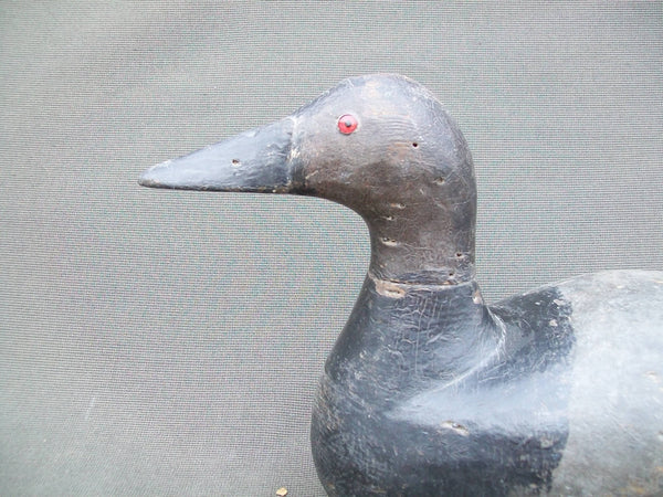 Hollow Canvasback with bottom board - Midwest - Circa 1930's.  (#332)