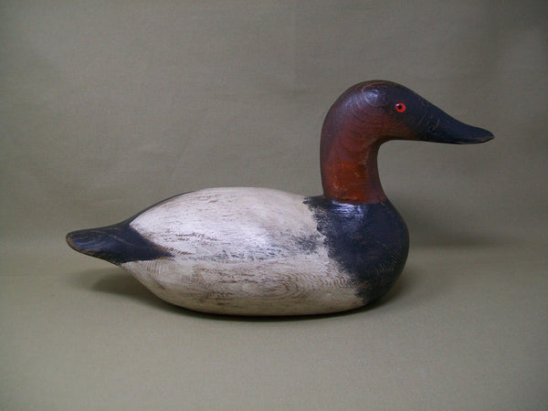 Senica Lake Canvasback Drake, Circa 1920's  (#3343)