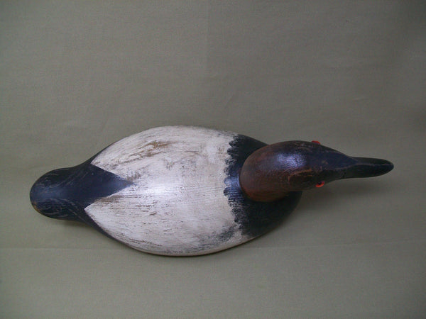 Senica Lake Canvasback Drake, Circa 1920's  (#3343)