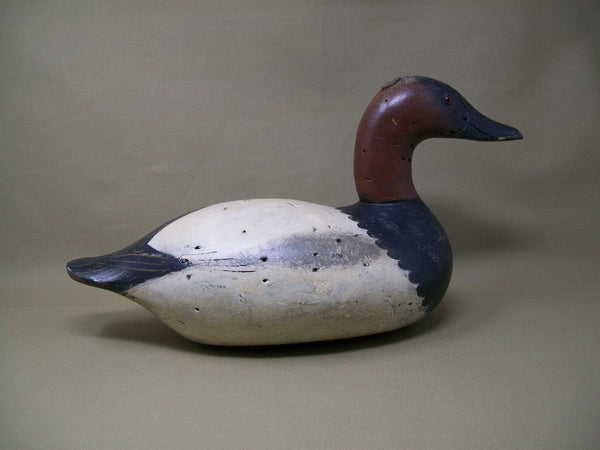 Chesapeake Bay Mason Canvasback Drake, Circa 1920's  (#3349)