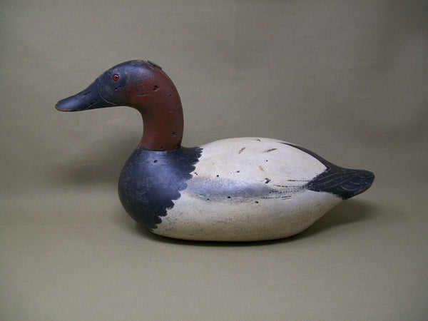 Chesapeake Bay Mason Canvasback Drake, Circa 1920's  (#3349)