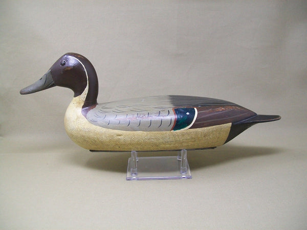 Elliston Pintail, Weight on Bottom, Circa 1900  (#3363)