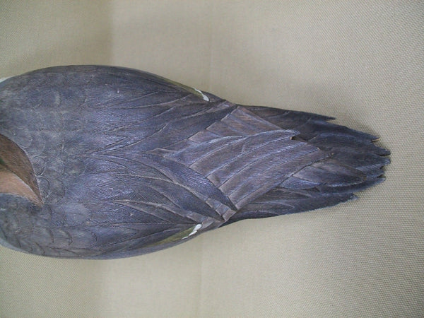 Full Size Standing Green Wing Teal (#3366)