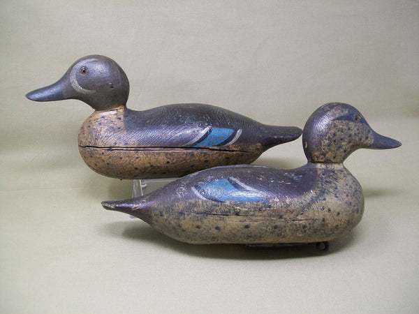 Mason Detroit Blue Wing Teal, Rigmate Pair  (#3369)