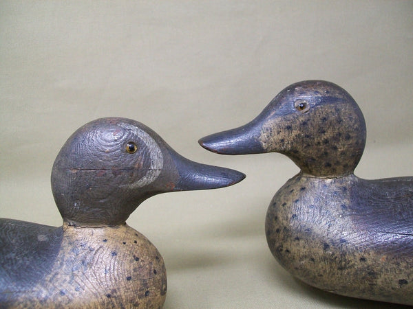 Mason Detroit Blue Wing Teal, Rigmate Pair  (#3369)