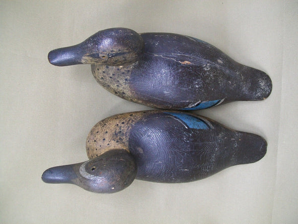 Mason Detroit Blue Wing Teal, Rigmate Pair  (#3369)