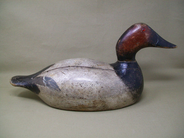 Evans Canvasback, Original Paint, Mammoth Grade, Circa 1930's  (#3370)