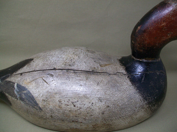 Evans Canvasback, Original Paint, Mammoth Grade, Circa 1930's  (#3370)