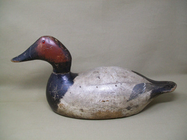 Evans Canvasback, Original Paint, Mammoth Grade, Circa 1930's  (#3370)