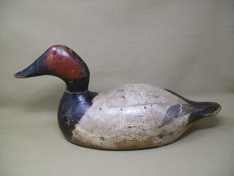Evans Canvasback, Original Paint, Mammoth Grade, Circa 1930's  (#3370)