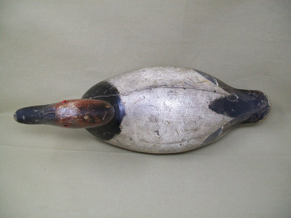 Evans Canvasback, Original Paint, Mammoth Grade, Circa 1930's  (#3370)