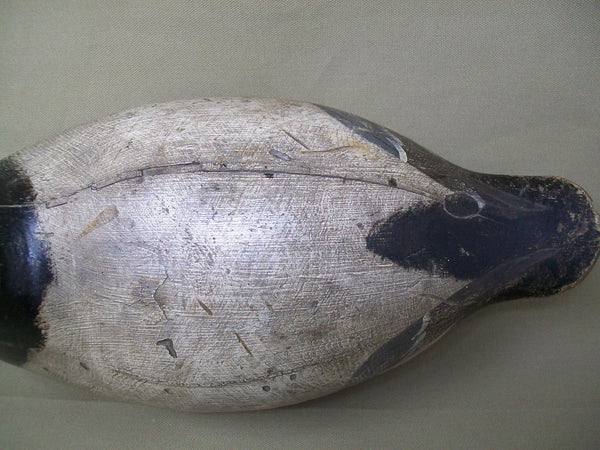 Evans Canvasback, Original Paint, Mammoth Grade, Circa 1930's  (#3370)