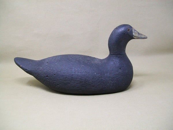 Pratt Factory Rough Feather Finish Coot- Circa 1930's  (#3373)