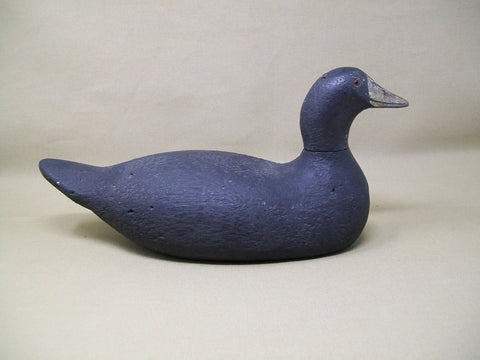 Pratt Factory Rough Feather Finish Coot- Circa 1930's  (#3373)