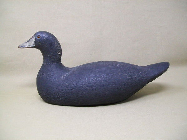 Pratt Factory Rough Feather Finish Coot- Circa 1930's  (#3373)