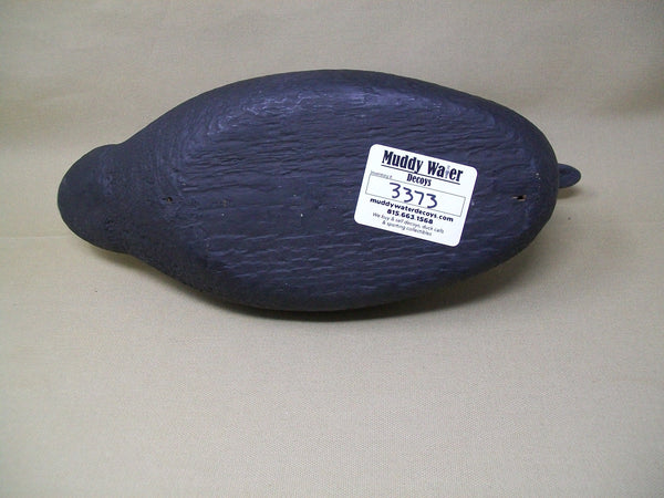 Pratt Factory Rough Feather Finish Coot- Circa 1930's  (#3373)