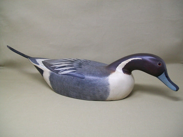 Swimming Pintail Drake, Original Paint   (#3386)