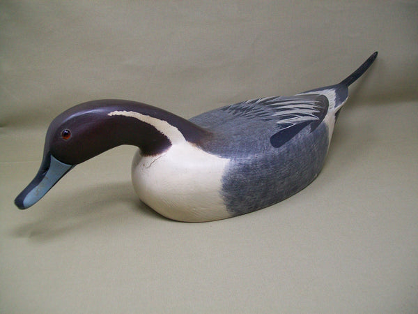 Swimming Pintail Drake, Original Paint   (#3386)