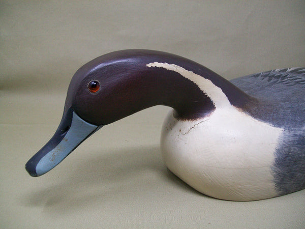 Swimming Pintail Drake, Original Paint   (#3386)