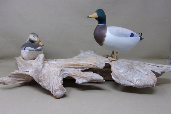 Ken Weeks 1/3 Size Mallards on Driftwood- All original (#3400)