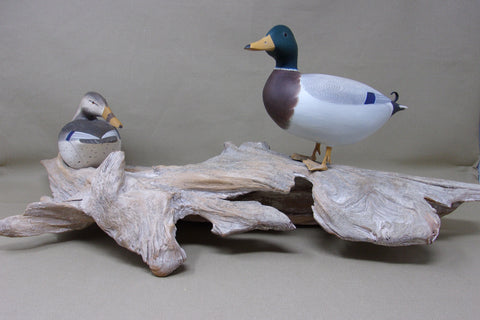 Ken Weeks 1/3 Size Mallards on Driftwood- All original (#3400)