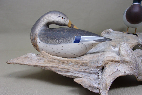 Ken Weeks 1/3 Size Mallards on Driftwood- All original (#3400)