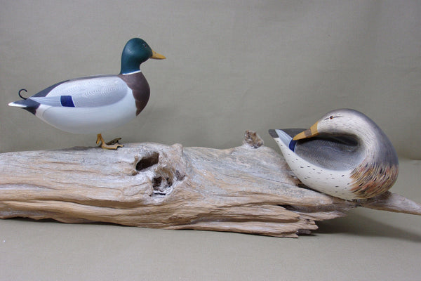 Ken Weeks 1/3 Size Mallards on Driftwood- All original (#3400)