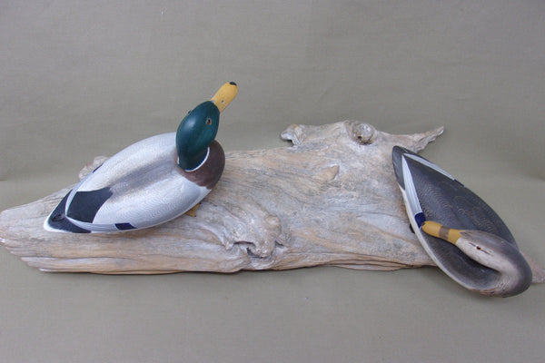Ken Weeks 1/3 Size Mallards on Driftwood- All original (#3400)
