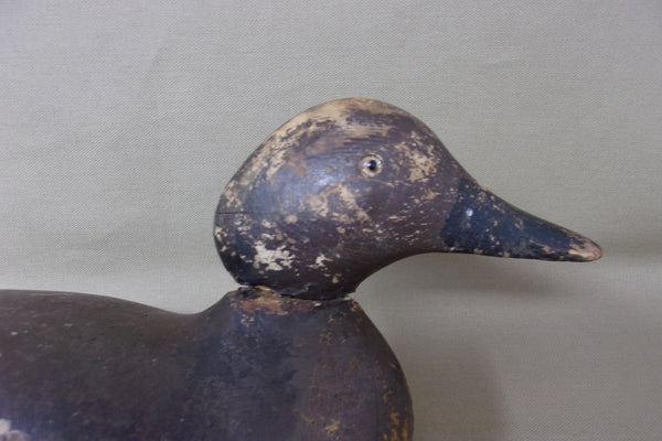 Mason Pintail Hen, Mostly Original Paint, Circa 1920's  (#3403)