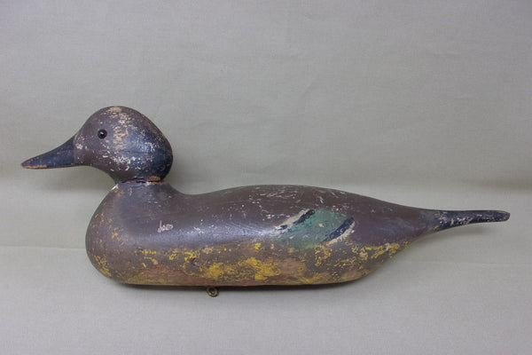 Mason Pintail Hen, Mostly Original Paint, Circa 1920's  (#3403)