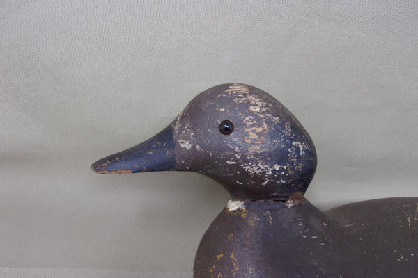 Mason Pintail Hen, Mostly Original Paint, Circa 1920's  (#3403)