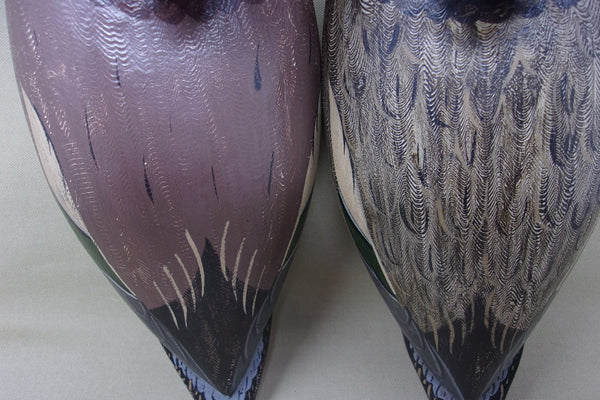 Widgeon Pair, Perdew Style, Charles Moore  (#3414)