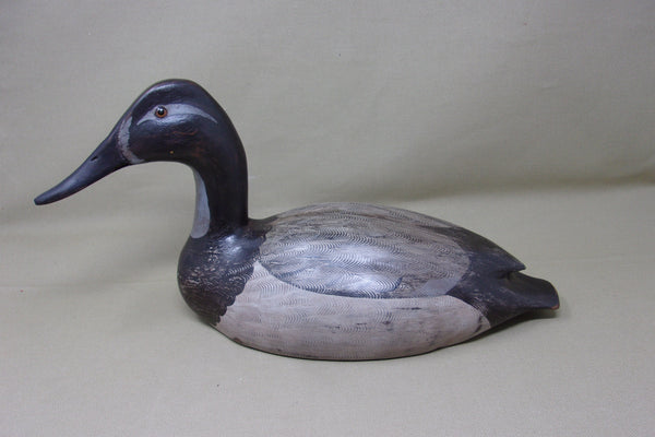 Charlie Moore Canvasback Hen, Signed & Dated   (#3434)