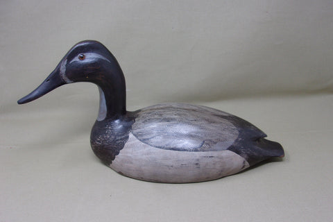 Charlie Moore Canvasback Hen, Signed & Dated   (#3434)