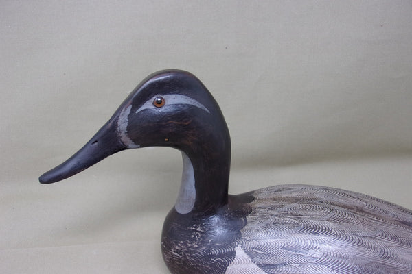 Charlie Moore Canvasback Hen, Signed & Dated   (#3434)