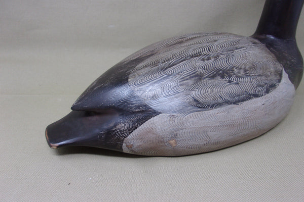 Charlie Moore Canvasback Hen, Signed & Dated   (#3434)