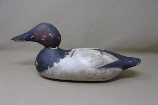 Mason Canvasback Drake, Original Paint (#3448)