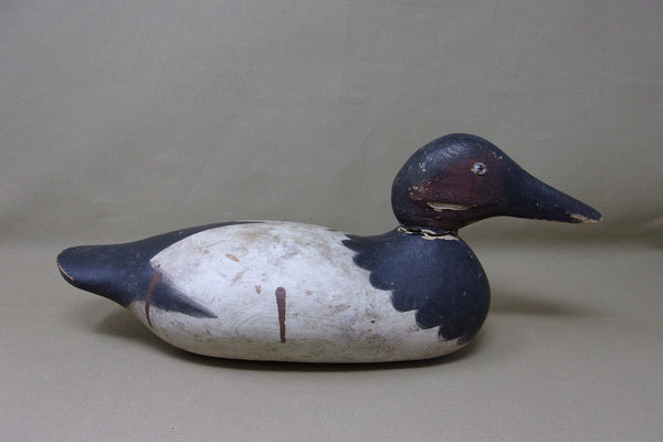 Mason Canvasback Drake, Original Paint (#3448)