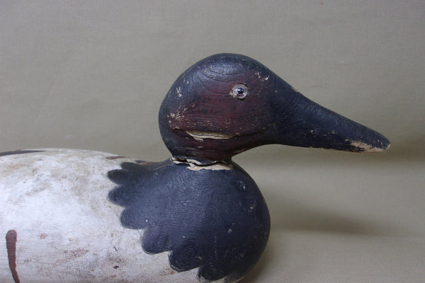 Mason Canvasback Drake, Original Paint (#3448)