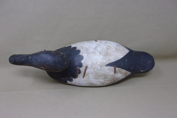 Mason Canvasback Drake, Original Paint (#3448)