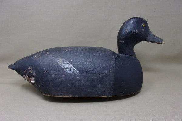 Michigan Blue Bill Bobtail Circa 1930's  (#3460)