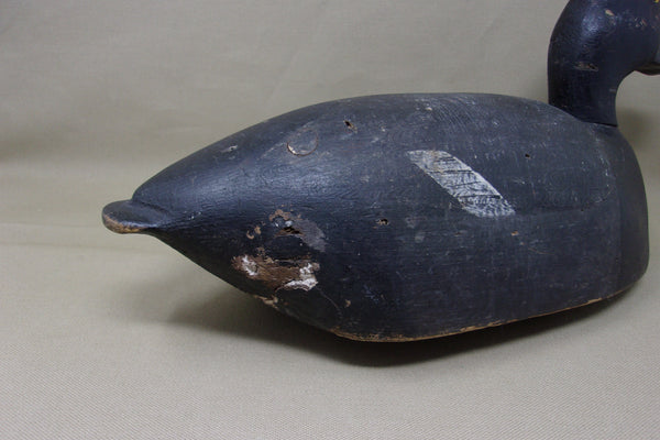 Michigan Blue Bill Bobtail Circa 1930's  (#3460)