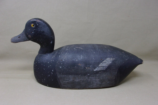 Michigan Blue Bill Bobtail Circa 1930's  (#3460)