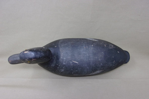 Michigan Blue Bill Bobtail Circa 1930's  (#3460)