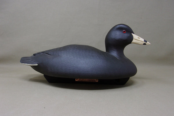 Marv Meyer Working Coot with Keel, signed/dated  (#3468)