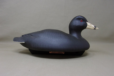 Marv Meyer Working Coot with Keel, signed/dated  (#3468)