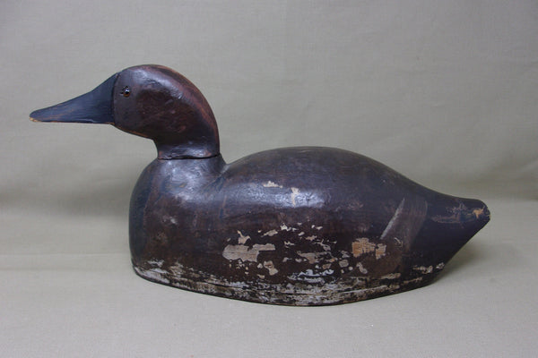 St. Clair Flats Canvasback, Circa 1920's  (#3470)